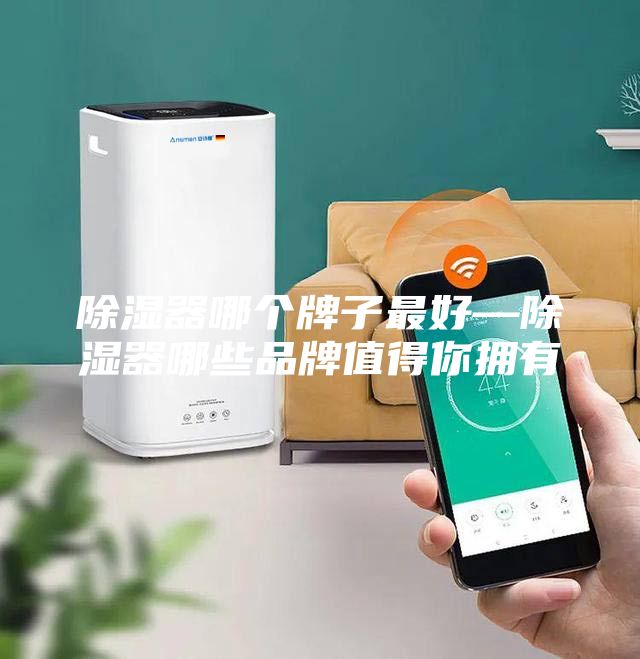 除濕器哪個(gè)牌子最好—除濕器哪些品牌值得你擁有