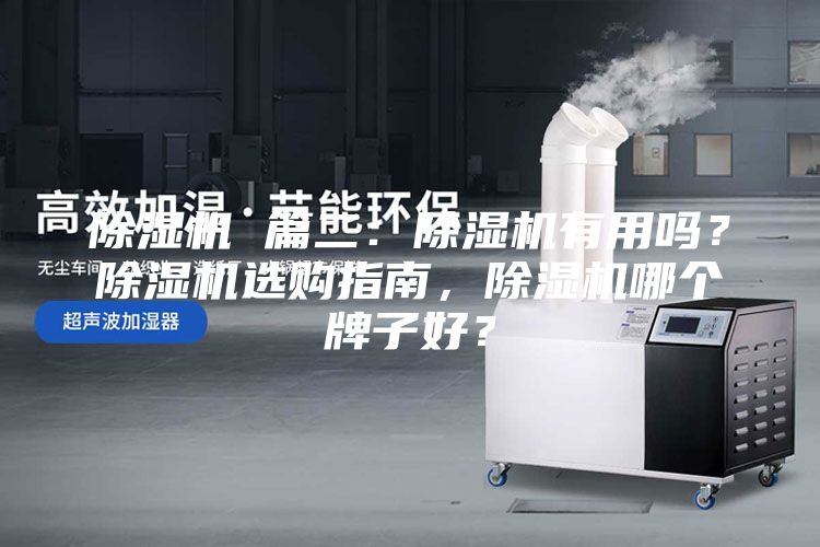 除濕機 篇二：除濕機有用嗎？除濕機選購指南，除濕機哪個牌子好？