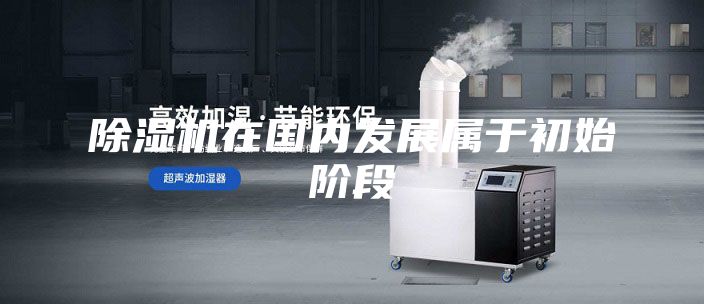 除濕機在國內發(fā)展屬于初始階段