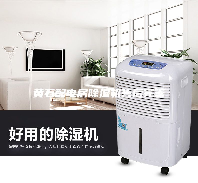 黃石配電房除濕機(jī)售后完善