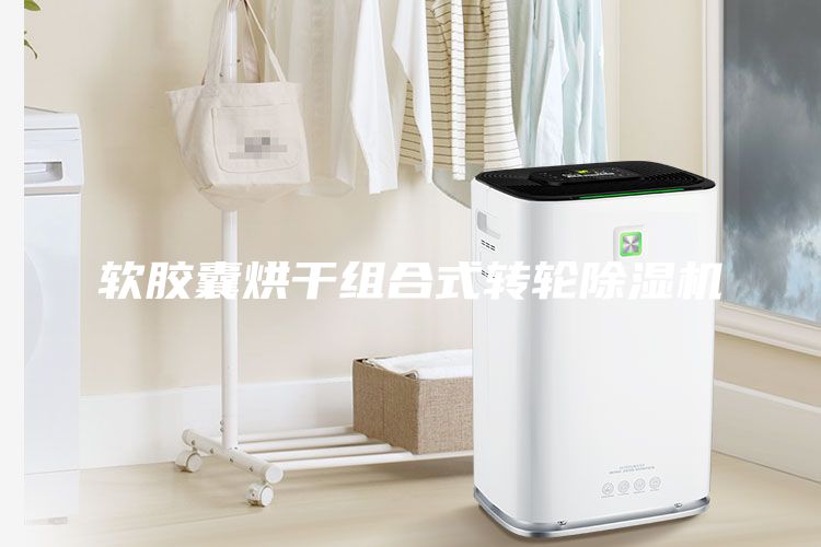 軟膠囊烘干組合式轉輪除濕機