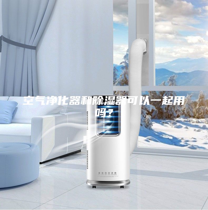 空氣凈化器和除濕器可以一起用嗎？