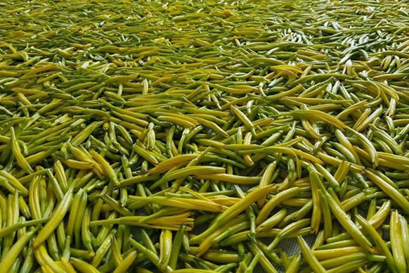 無硫金針菜烘干如何保持品相？不發(fā)黑？_除濕機廠家