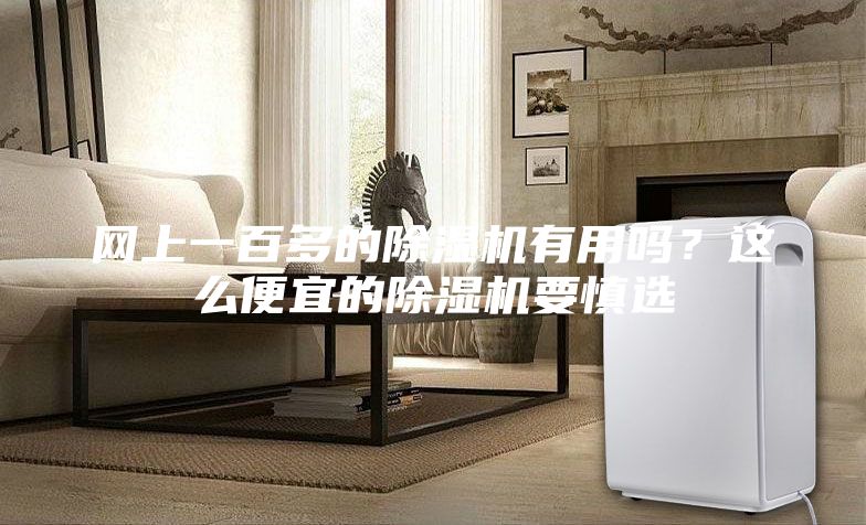 網上一百多的除濕機有用嗎？這么便宜的除濕機要慎選