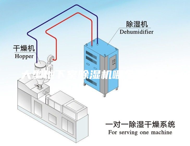 大型地下室除濕機哪個牌子好