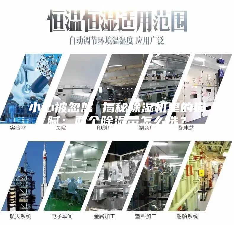 小心被忽悠 揭秘除濕機(jī)里的貓膩：兩個(gè)除濕量怎么選？