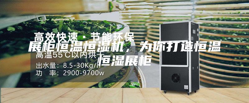 展柜恒溫恒濕機，為你打造恒溫恒濕展柜