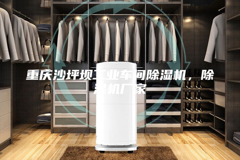 重慶沙坪壩工業(yè)車間除濕機(jī)，除濕機(jī)廠家