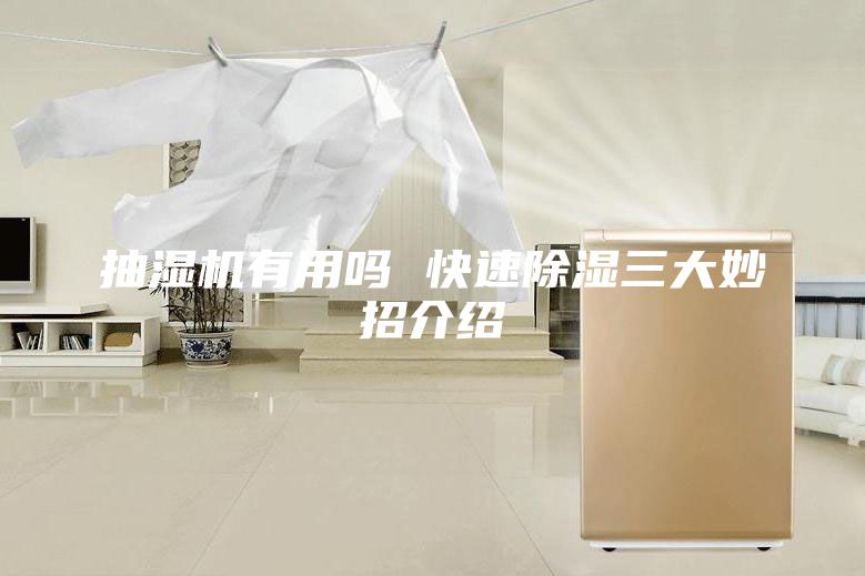 抽濕機(jī)有用嗎 快速除濕三大妙招介紹