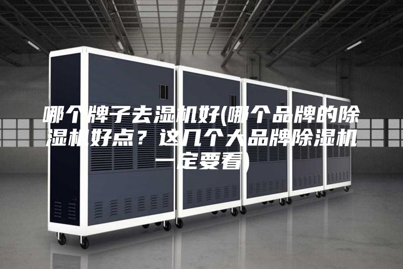 哪個(gè)牌子去濕機(jī)好(哪個(gè)品牌的除濕機(jī)好點(diǎn)？這幾個(gè)大品牌除濕機(jī)一定要看)
