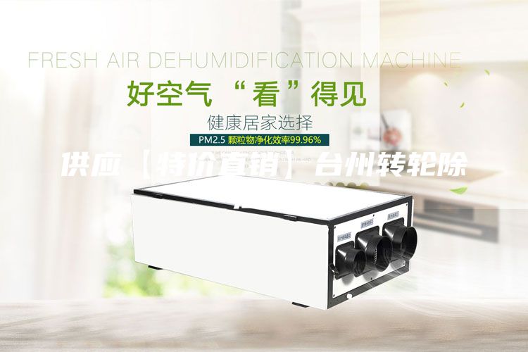 供應(yīng)【特價直銷】臺州轉(zhuǎn)輪除濕機
