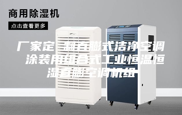 廠家定 制直膨式潔凈空調 涂裝用組合式工業恒溫恒濕直膨空調機組