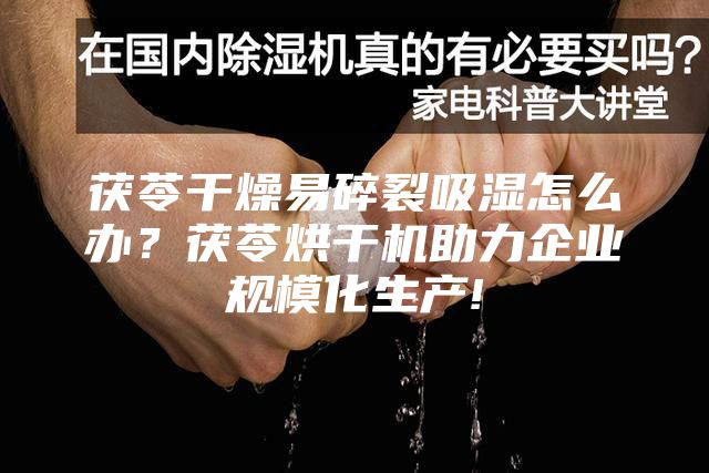 茯苓干燥易碎裂吸濕怎么辦？茯苓烘干機助力企業(yè)規(guī)模化生產!