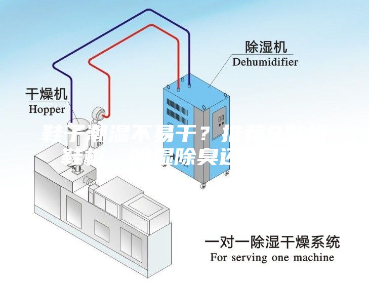 鞋子潮濕不易干？推薦9款烘鞋機(jī)，除濕除臭還可殺菌
