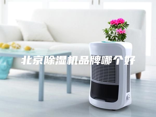 北京除濕機品牌哪個好