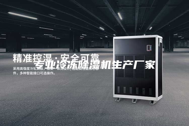 專業(yè)冷凍除濕機生產(chǎn)廠家