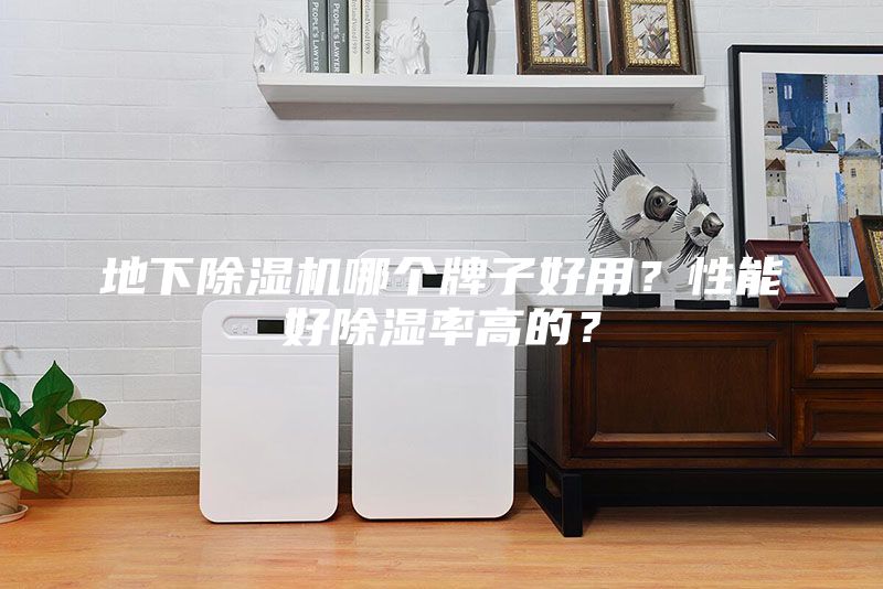 地下除濕機(jī)哪個(gè)牌子好用？性能好除濕率高的？