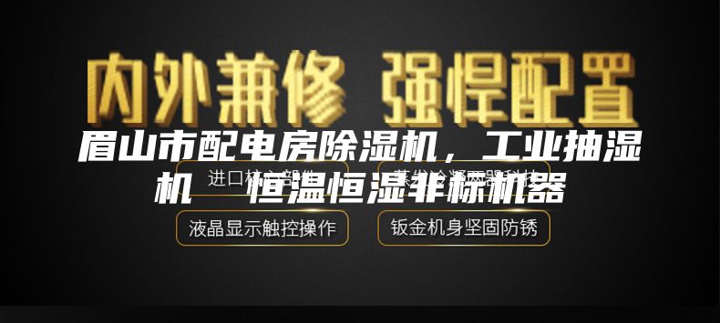 眉山市配電房除濕機，工業抽濕機  恒溫恒濕非標機器