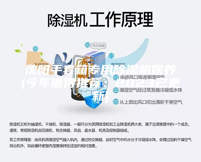 沈陽手套箱專用除濕機保養(今年值得推薦：2023已更新)