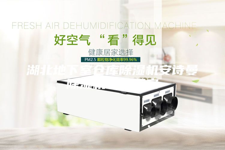 湖北地下室倉(cāng)庫(kù)除濕機(jī)安詩(shī)曼除濕機(jī)生產(chǎn)廠家