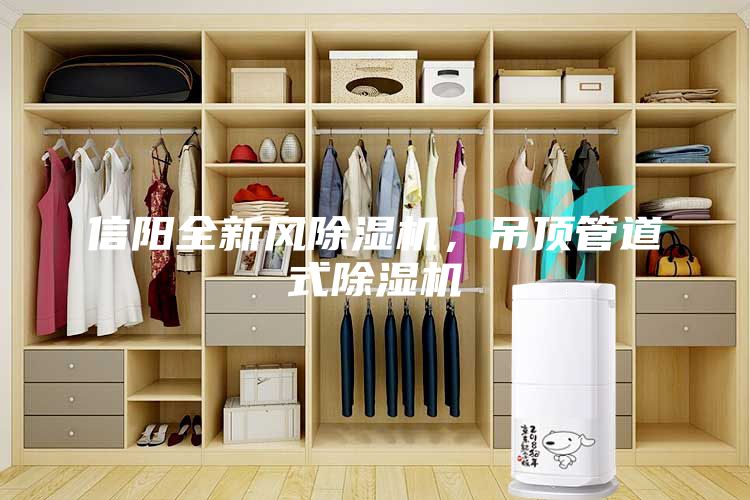 信陽全新風除濕機，吊頂管道式除濕機