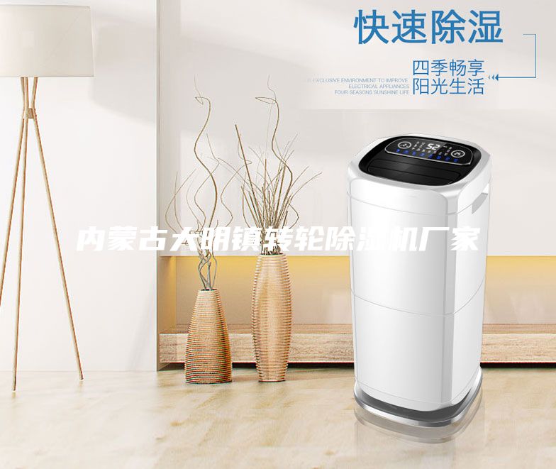 內蒙古大明鎮轉輪除濕機廠家