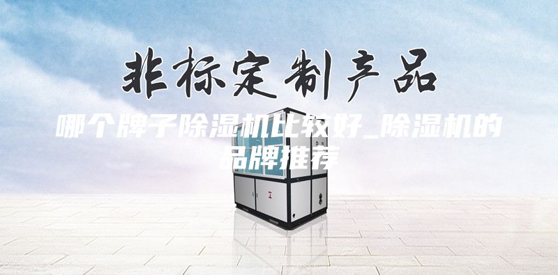 哪個(gè)牌子除濕機(jī)比較好_除濕機(jī)的品牌推薦