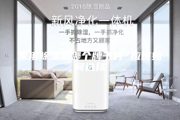 家用除濕機(jī)哪個(gè)牌子好 應(yīng)該如何選擇