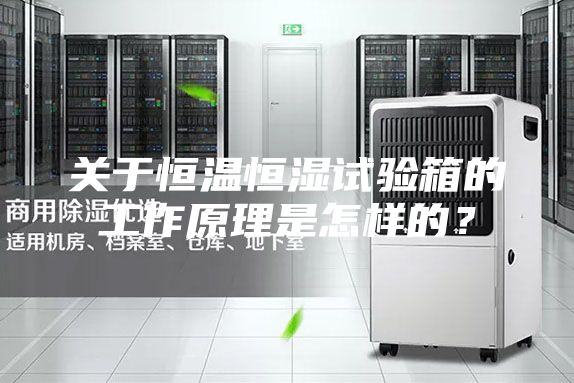 關于恒溫恒濕試驗箱的工作原理是怎樣的？