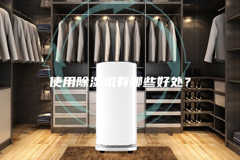 使用除濕機有哪些好處？