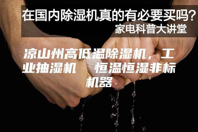 涼山州高低溫除濕機，工業抽濕機  恒溫恒濕非標機器