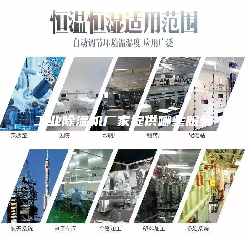 工業(yè)除濕機廠家提供哪些服務(wù)