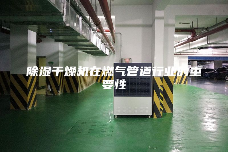 除濕干燥機在燃?xì)夤艿佬袠I(yè)的重要性