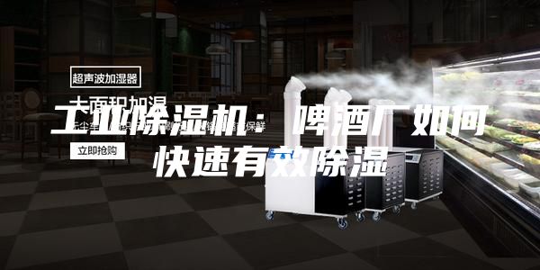 工業除濕機：啤酒廠如何快速有效除濕