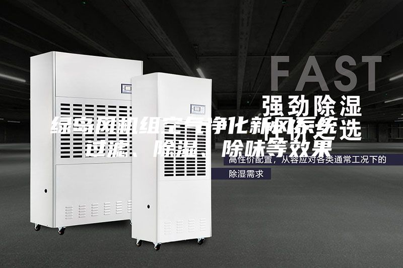 綠島風(fēng)機(jī)組空氣凈化新風(fēng)系統(tǒng)  過濾、除濕、除味等效果