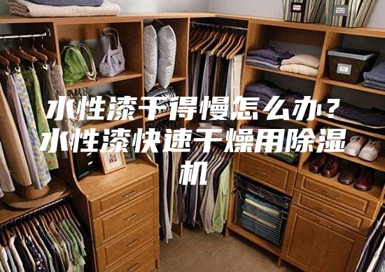 水性漆干得慢怎么辦？水性漆快速干燥用除濕機