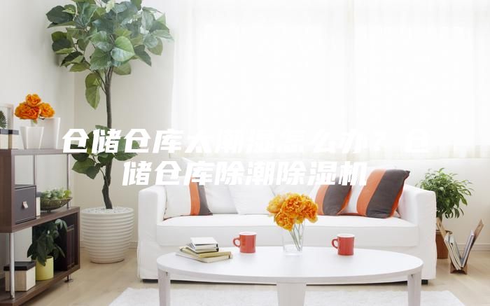 倉儲倉庫太潮濕怎么辦？倉儲倉庫除潮除濕機