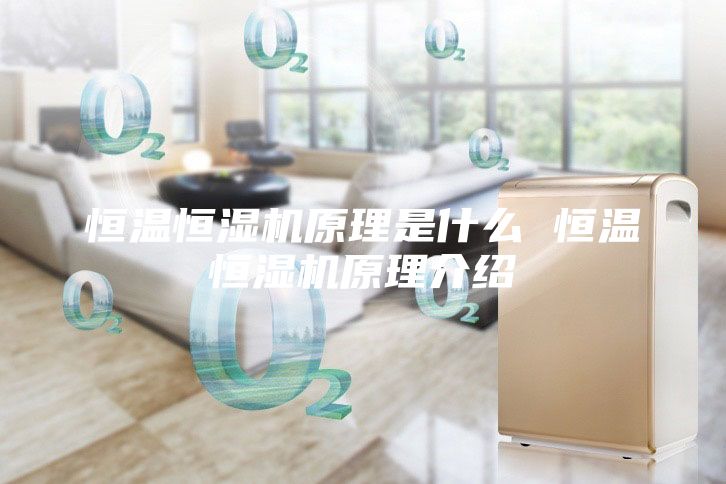 恒溫恒濕機(jī)原理是什么 恒溫恒濕機(jī)原理介紹