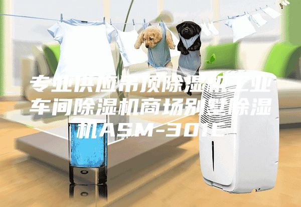 專業(yè)供應吊頂除濕機工業(yè)車間除濕機商場別墅除濕機ASM-301E