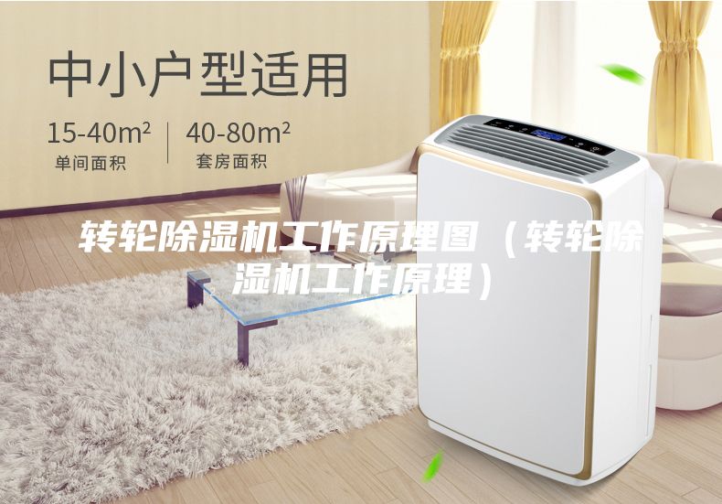 轉輪除濕機工作原理圖（轉輪除濕機工作原理）