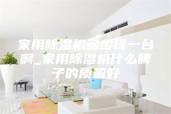 家用除濕機多少錢一臺啊_家用除濕機什么牌子的質(zhì)量好