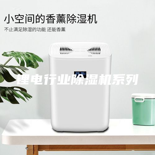 鋰電行業除濕機系列