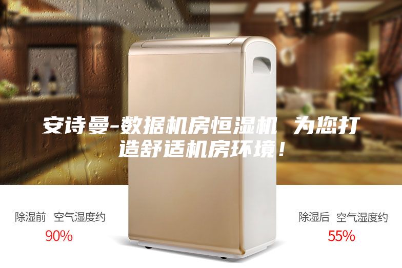 安詩(shī)曼-數(shù)據(jù)機(jī)房恒濕機(jī) 為您打造舒適機(jī)房環(huán)境！