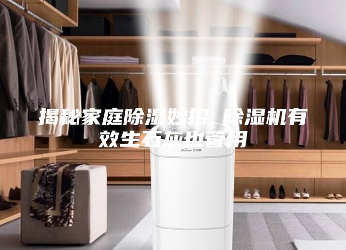 揭秘家庭除濕妙招 除濕機(jī)有效生石灰也管用