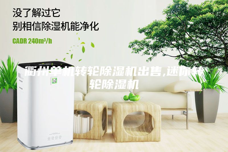 衢州單機轉輪除濕機出售,迷你轉輪除濕機
