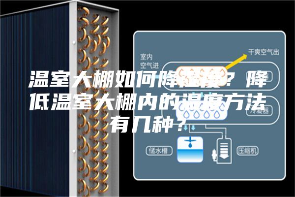 溫室大棚如何降濕度？降低溫室大棚內的濕度方法有幾種？