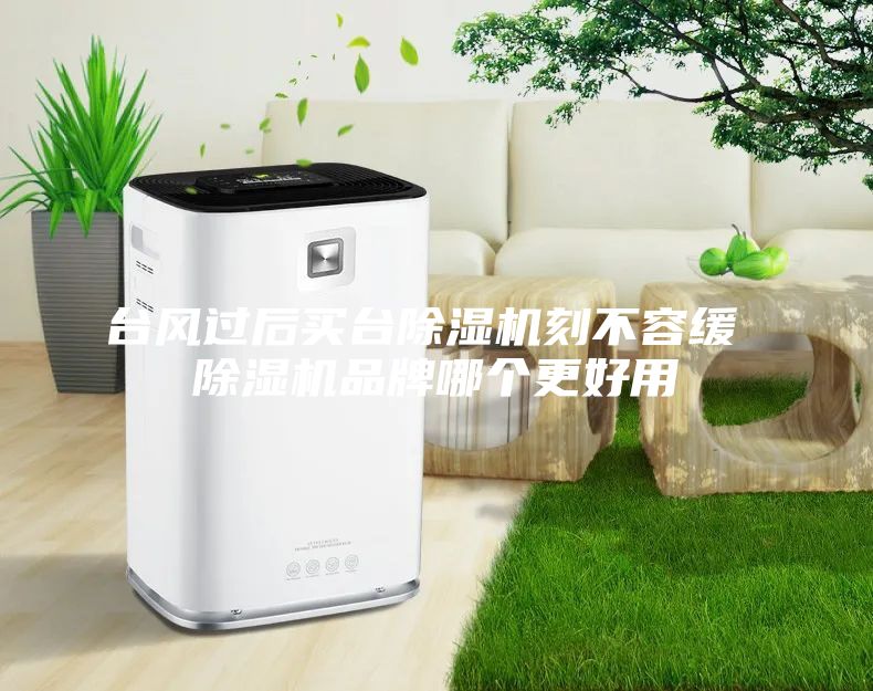 臺風(fēng)過后買臺除濕機刻不容緩 除濕機品牌哪個更好用