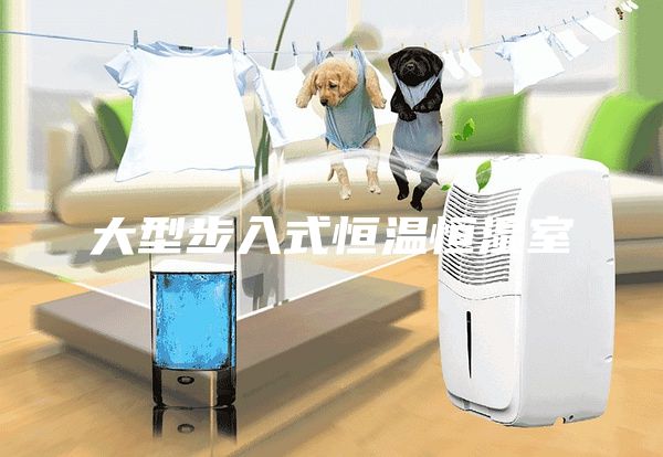 大型步入式恒溫恒濕室