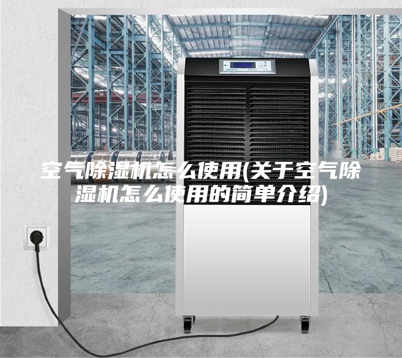 空氣除濕機(jī)怎么使用(關(guān)于空氣除濕機(jī)怎么使用的簡單介紹)