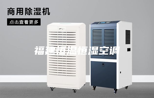 福建恒溫恒濕空調